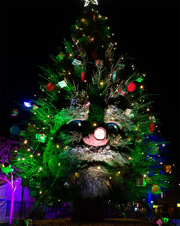 Kerstboom 2025